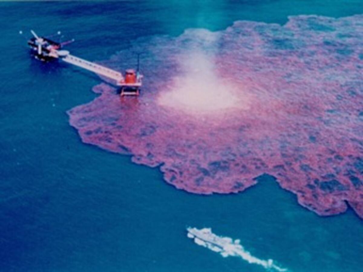 Reporte sobre el daño ecológico en el Golfo de México