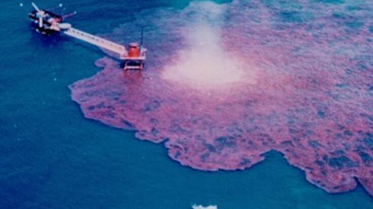 Reporte sobre el daño ecológico en el Golfo de México