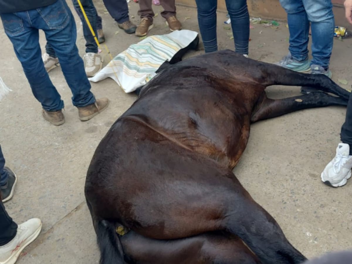 Un caballo murió durante una cabalgata en Villanueva, Santander