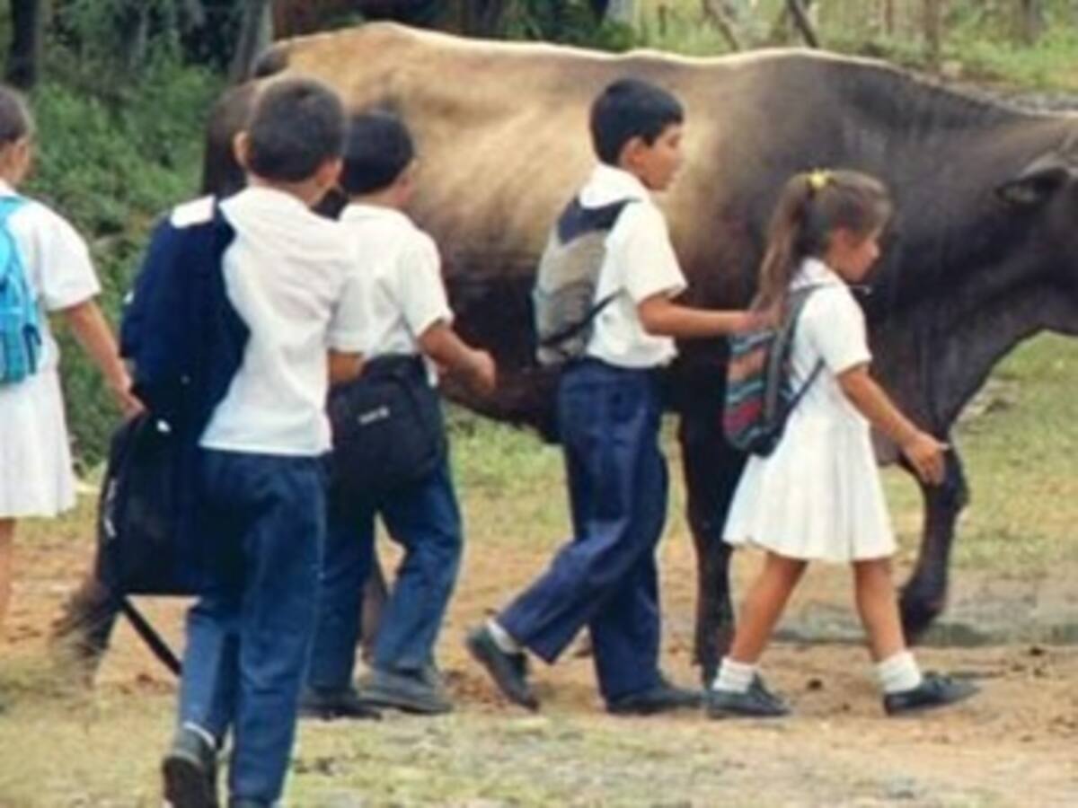 Estudiantes pobres sin transporte en Neiva