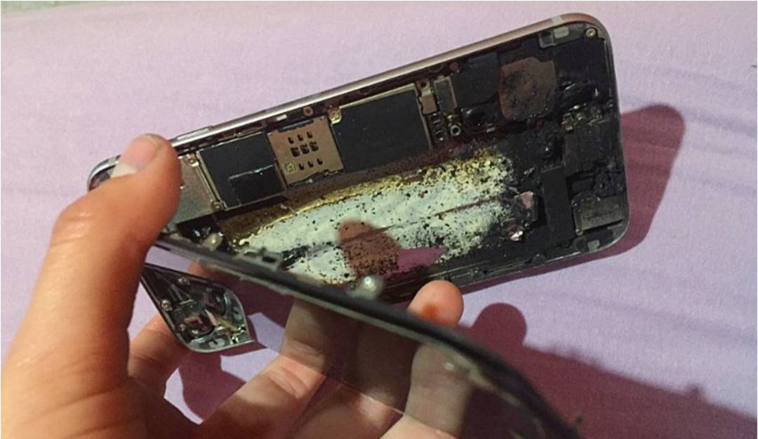 Foto: @ChapoisatMoises