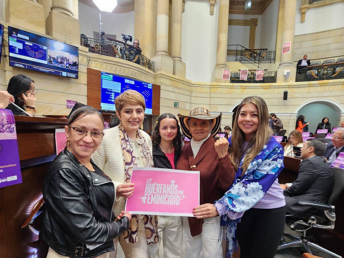 El Senado aprobó el Proyecto de Ley que busca la protección para los huérfanos de feminicidio