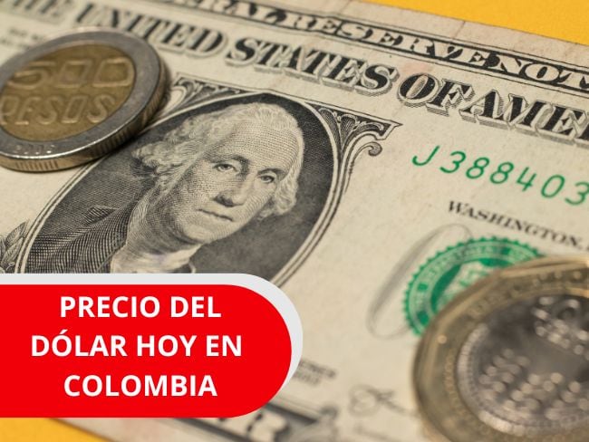 Imagen de referencia, foto Gettyimages y Canva.