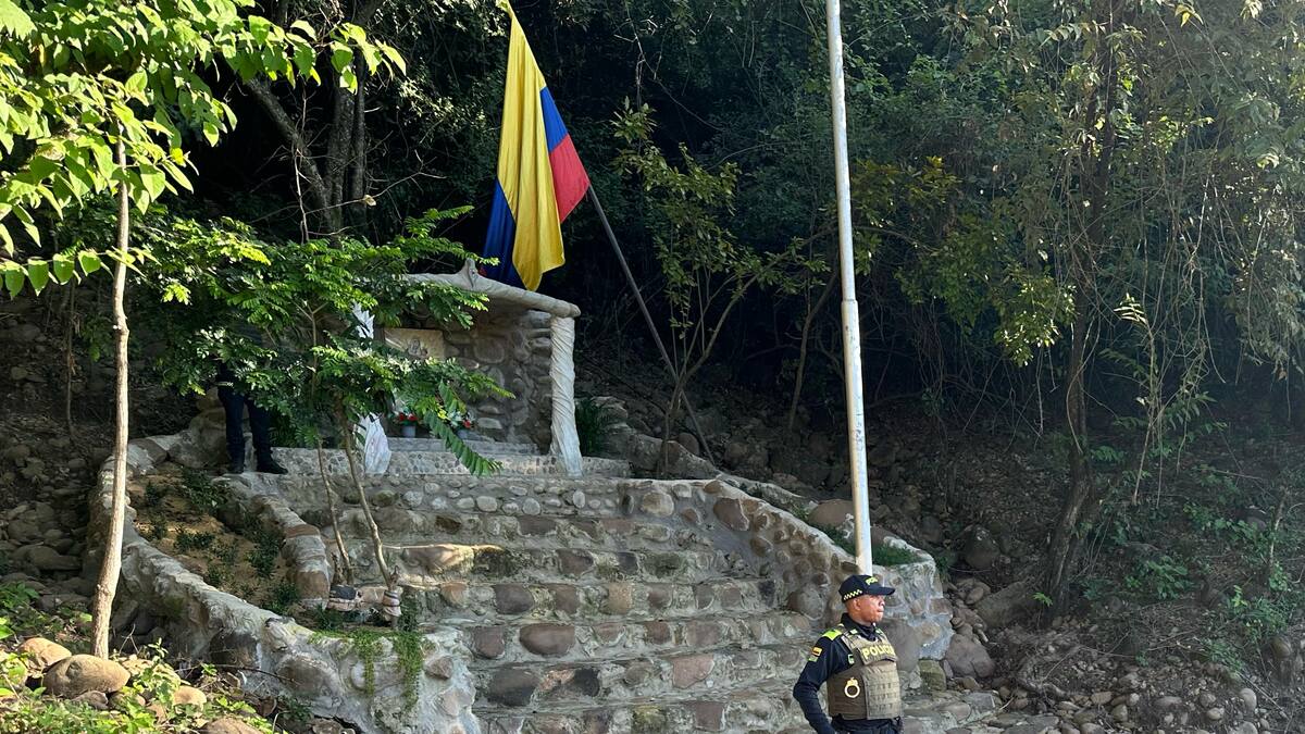 Autoridades ofrecen millonaria recompensa por esclarecer crimen de menor en Neiva