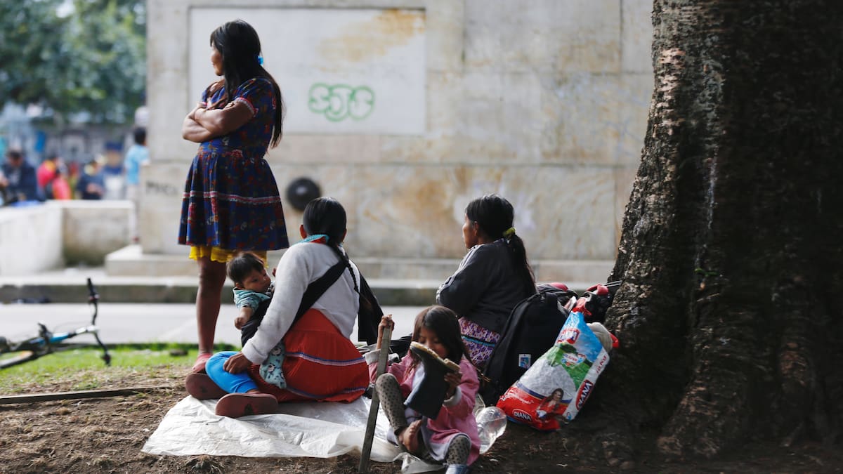 37 familias Emberá Chamí que están en Bogotá regresarán a sus territorios
