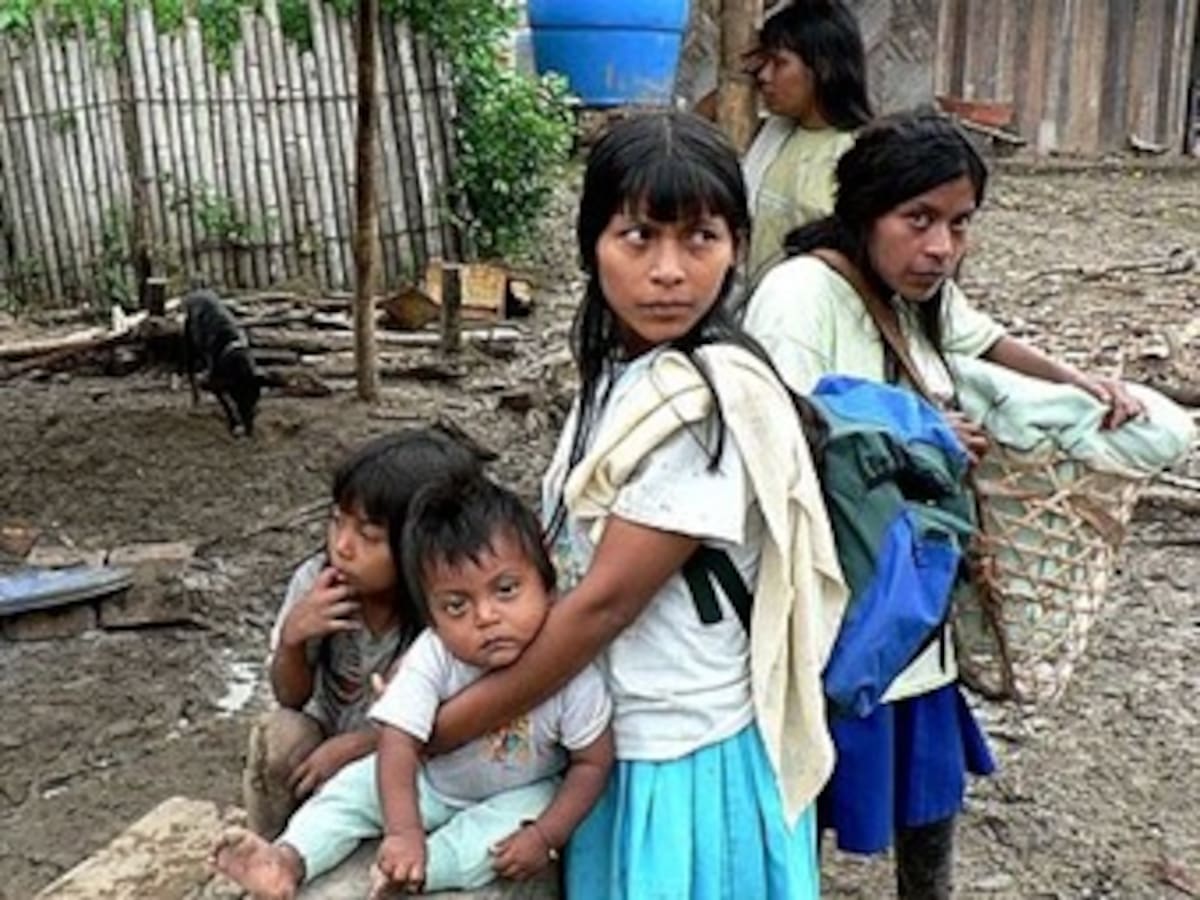 Amnistía Internacional pide protección para pueblos indígenas en Colombia