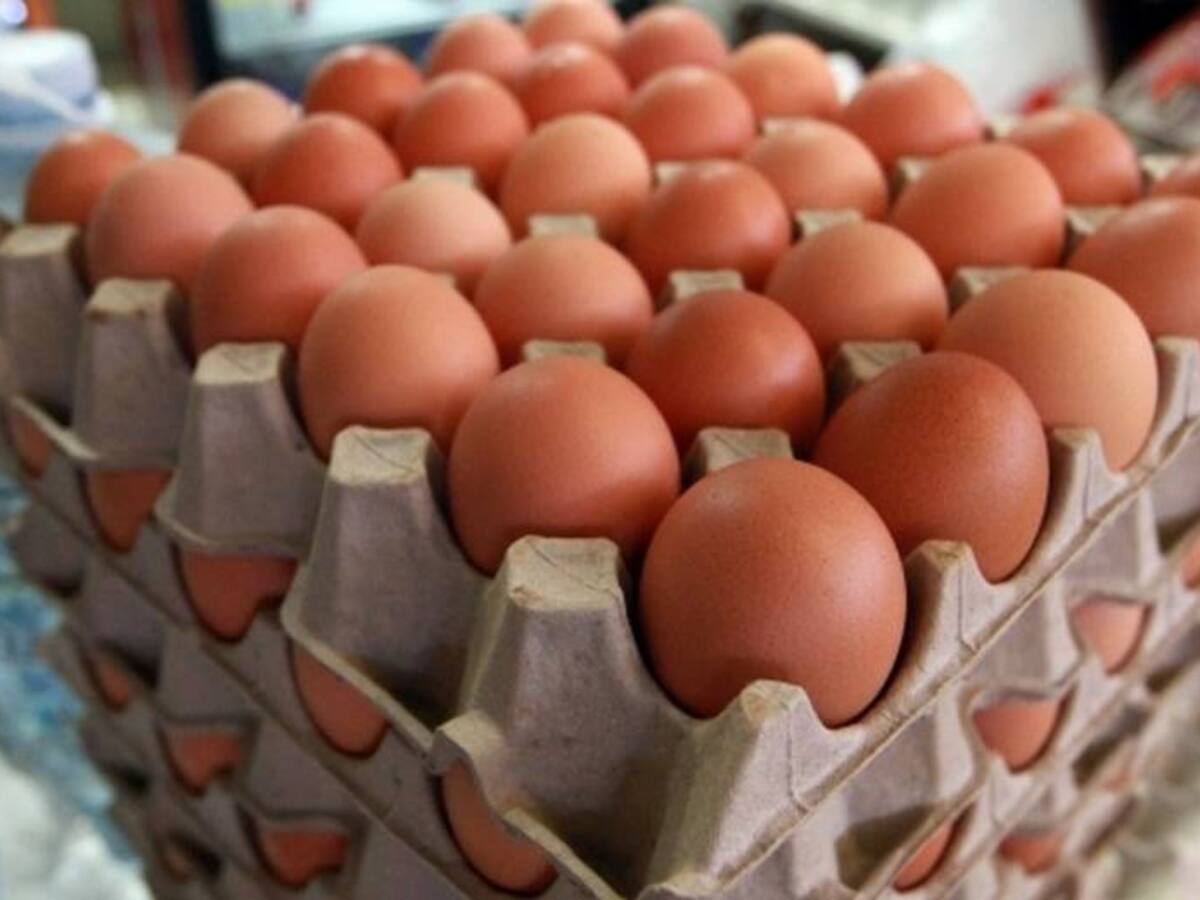 Se dispara la venta de huevos en Santa Marta debido a su bajo costo