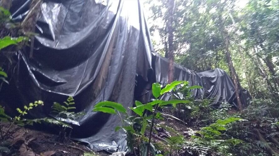 Encuentran y destruyen complejo cocalero en Buenos Aires, Cauca. Foto: Fiscalía