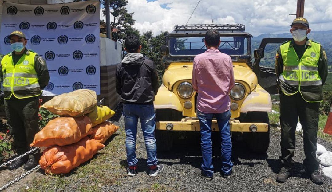 Frustran hurto de aguacates en Palestina