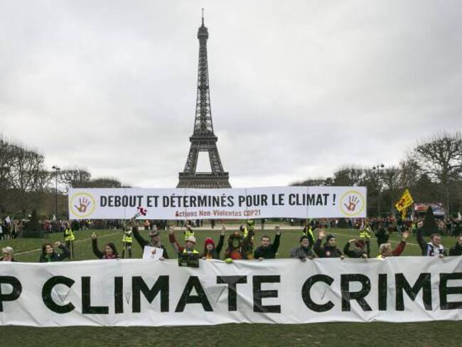 Ideam y WWF celebran reducción de deforestación acordada en la COP21
