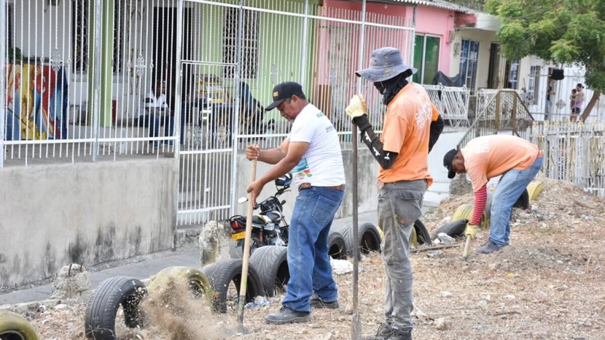 EPA Cartagena apoya recuperación de zonas verdes en República de Venezuela y Oriente