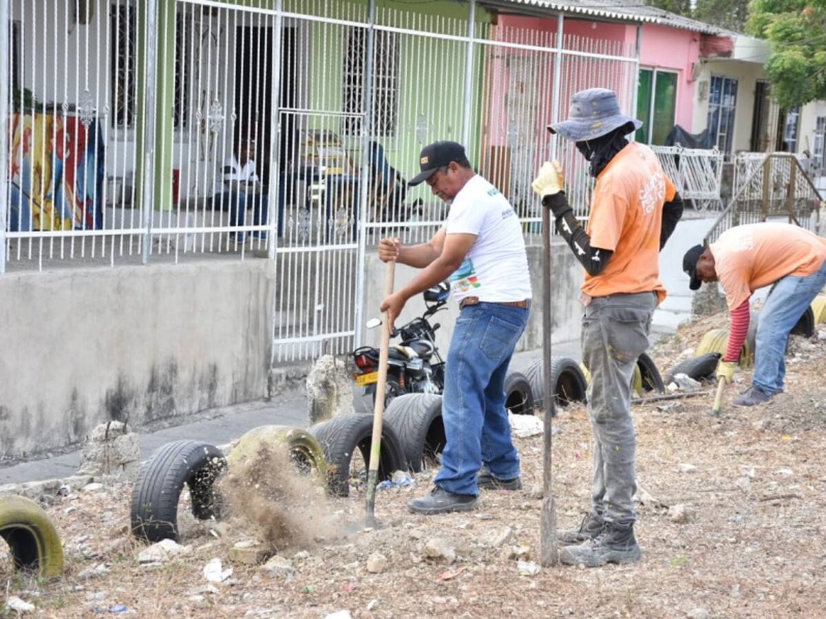 EPA Cartagena apoya recuperación de zonas verdes en República de Venezuela y Oriente