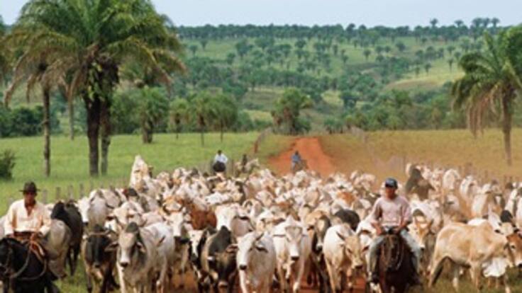 El Gobierno hizo un llamado a economizar agua y alimentos por fenómeno de El Niño