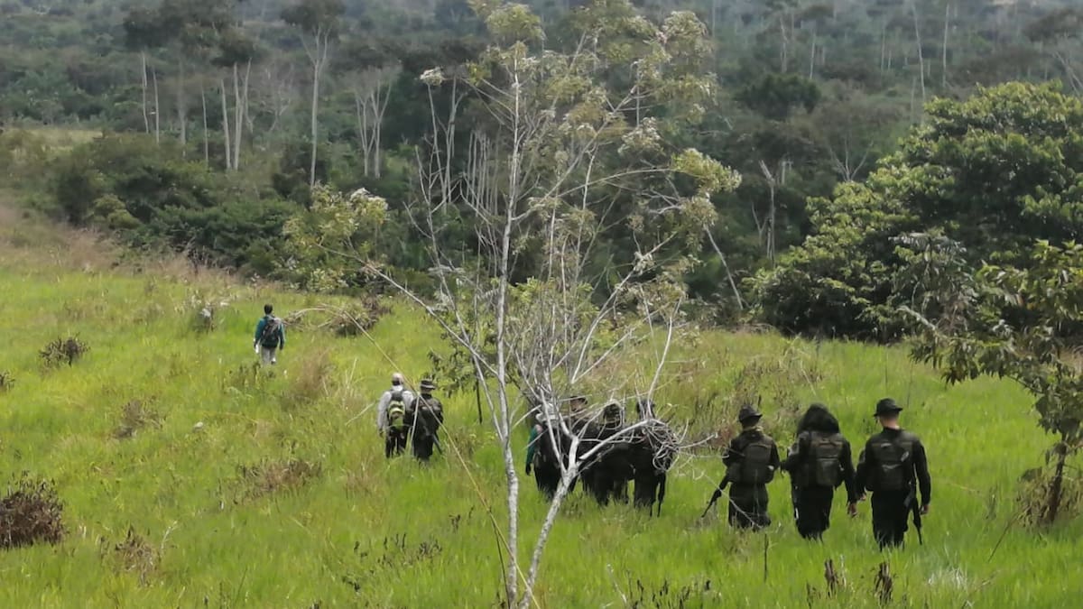 Gobierno autoriza expropiación administrativa de tierras en zonas afectadas por orden público
