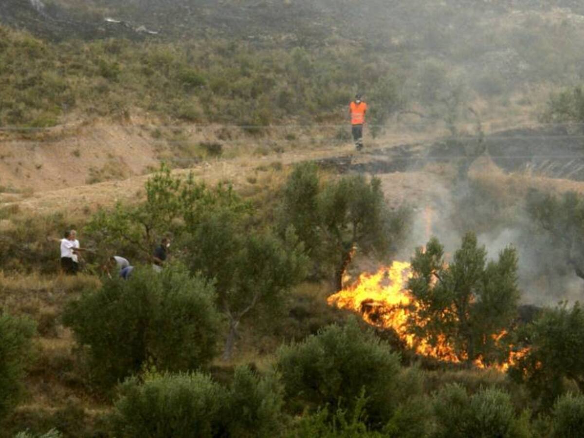 Incendio forestal en El Playón afectó 20 hectáreas de bosque y cultivos