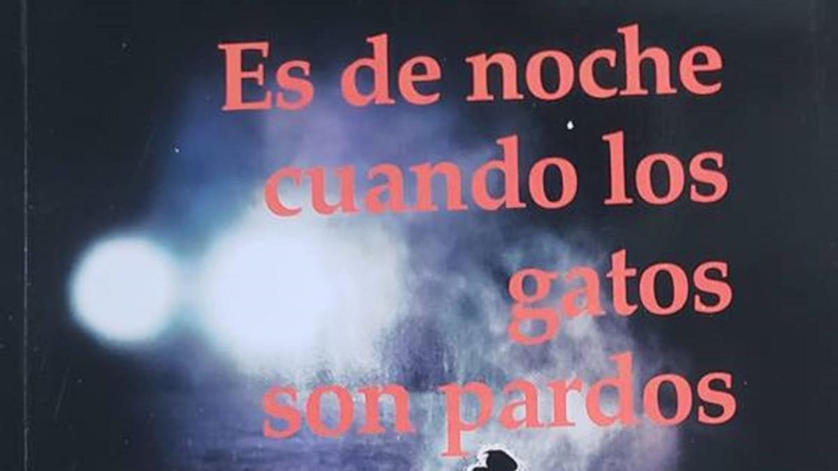 Es de noche cuando los gatos son pardos