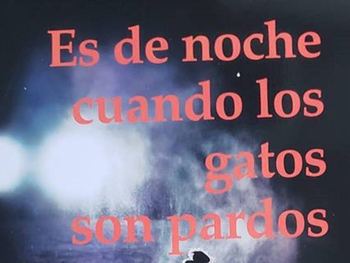 Es de noche cuando los gatos son pardos