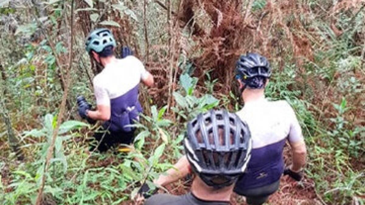 Seis ciclistas fueron atacados por abejas y en la huida se perdieron en El Retiro