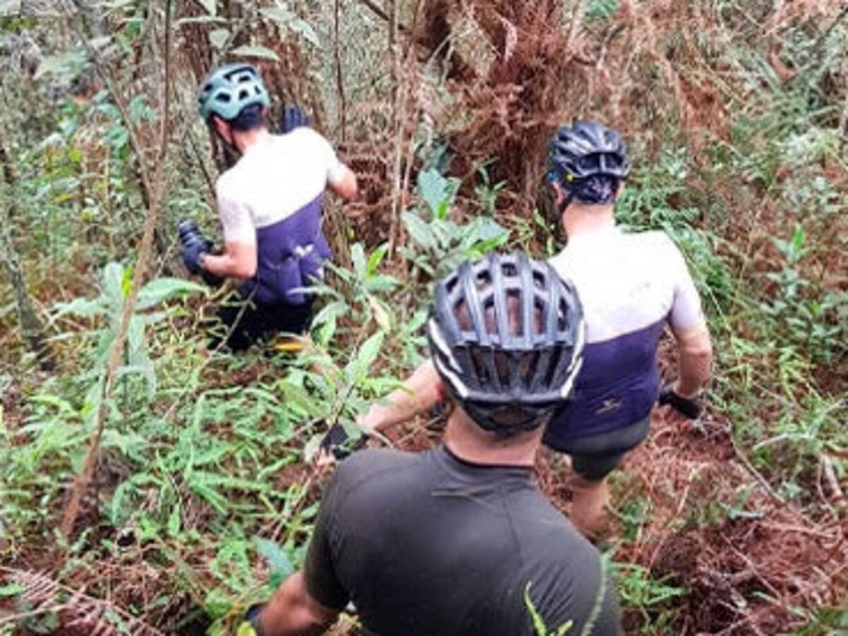Seis ciclistas fueron atacados por abejas y en la huida se perdieron en El Retiro