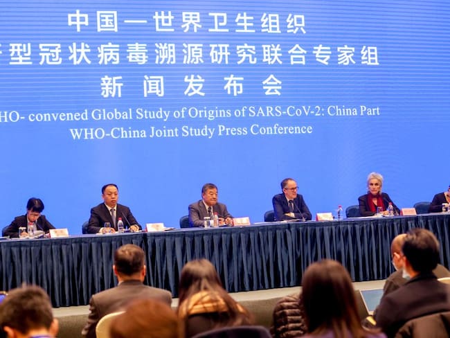 Grupo de estudio sobre el COVID-19 en Wuhan 