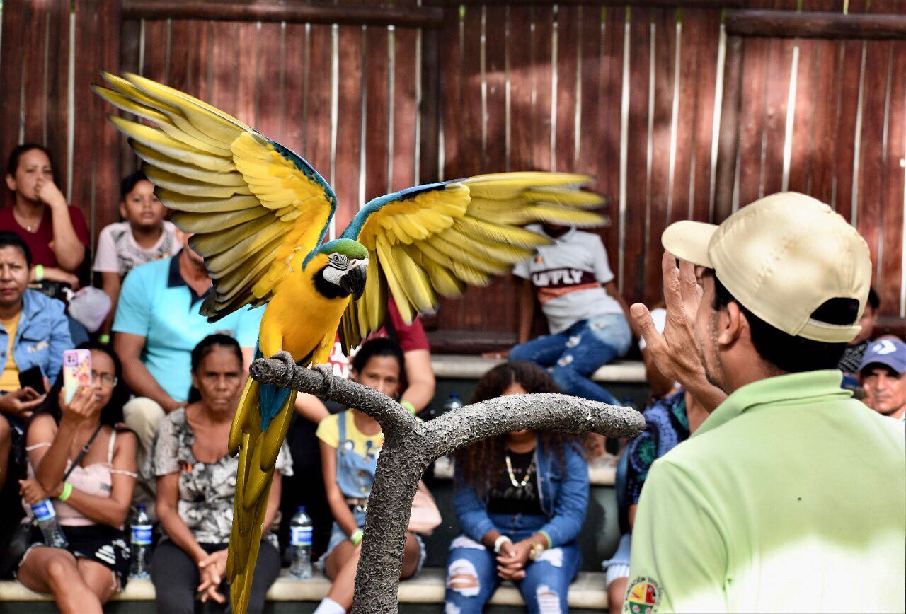 Foto: Zoológico de Barranquilla