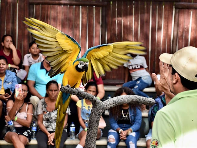 Foto: Zoológico de Barranquilla