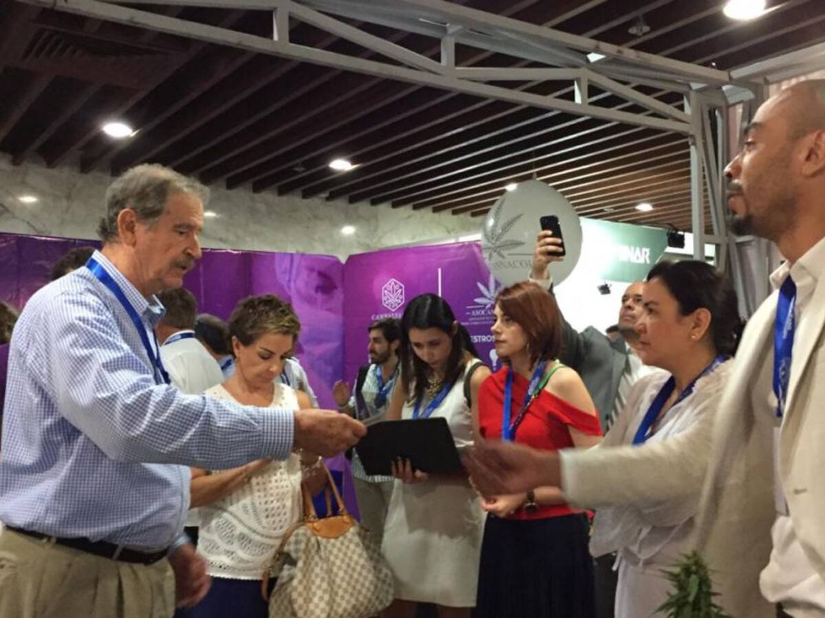 Exportaciones de cannabis medicinal al 2030 llegarían a US$ 1.700 millones