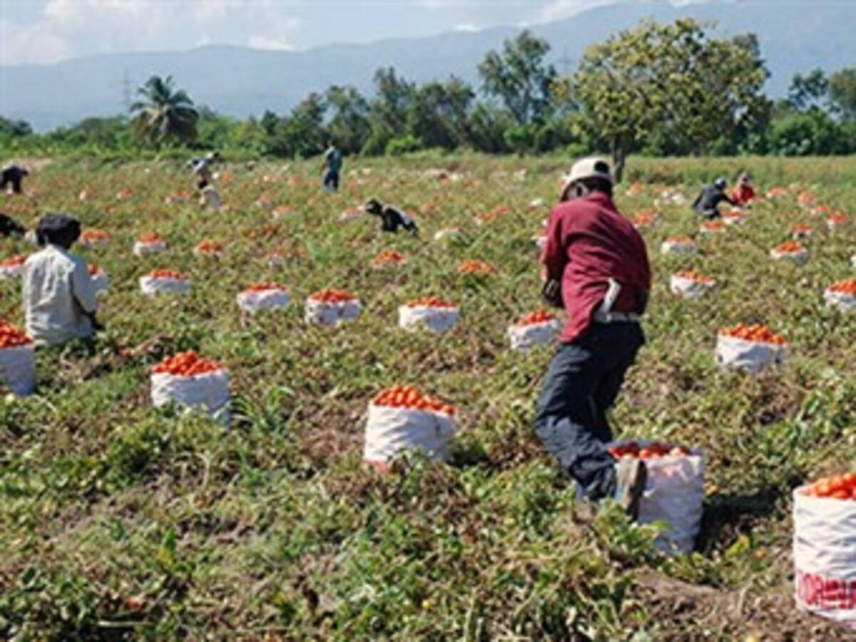 Mejoran indicadores en agro, desempleo, lucha contra pobreza y obras