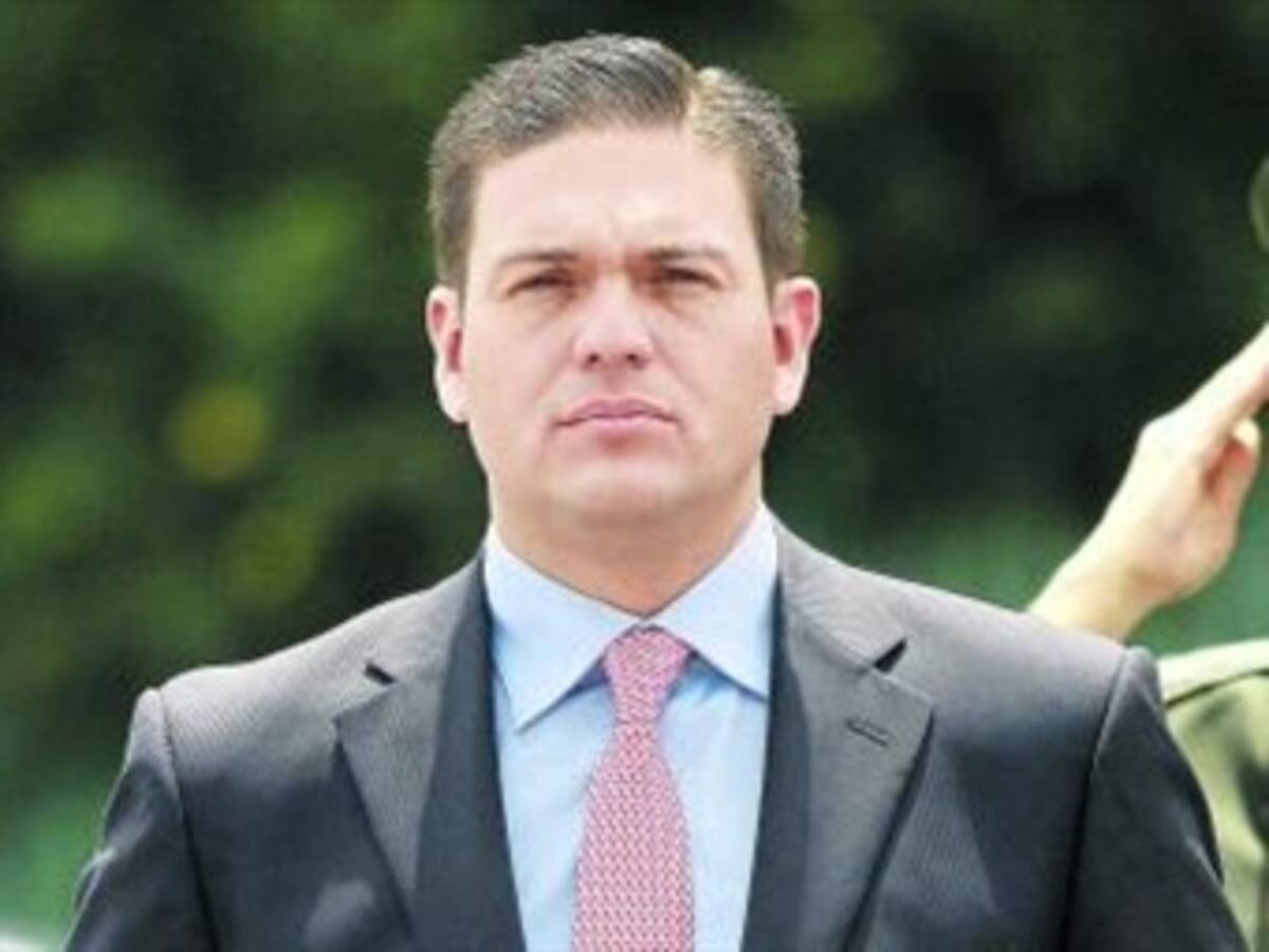 En el 2012 se desmovilizaron 1.000 guerrilleros de las Farc: Mindefensa