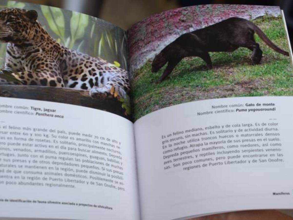 Los animales silvestres también merecen buen trato, son fundamentales