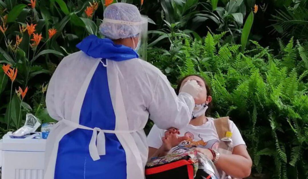 Imagen de referencia.