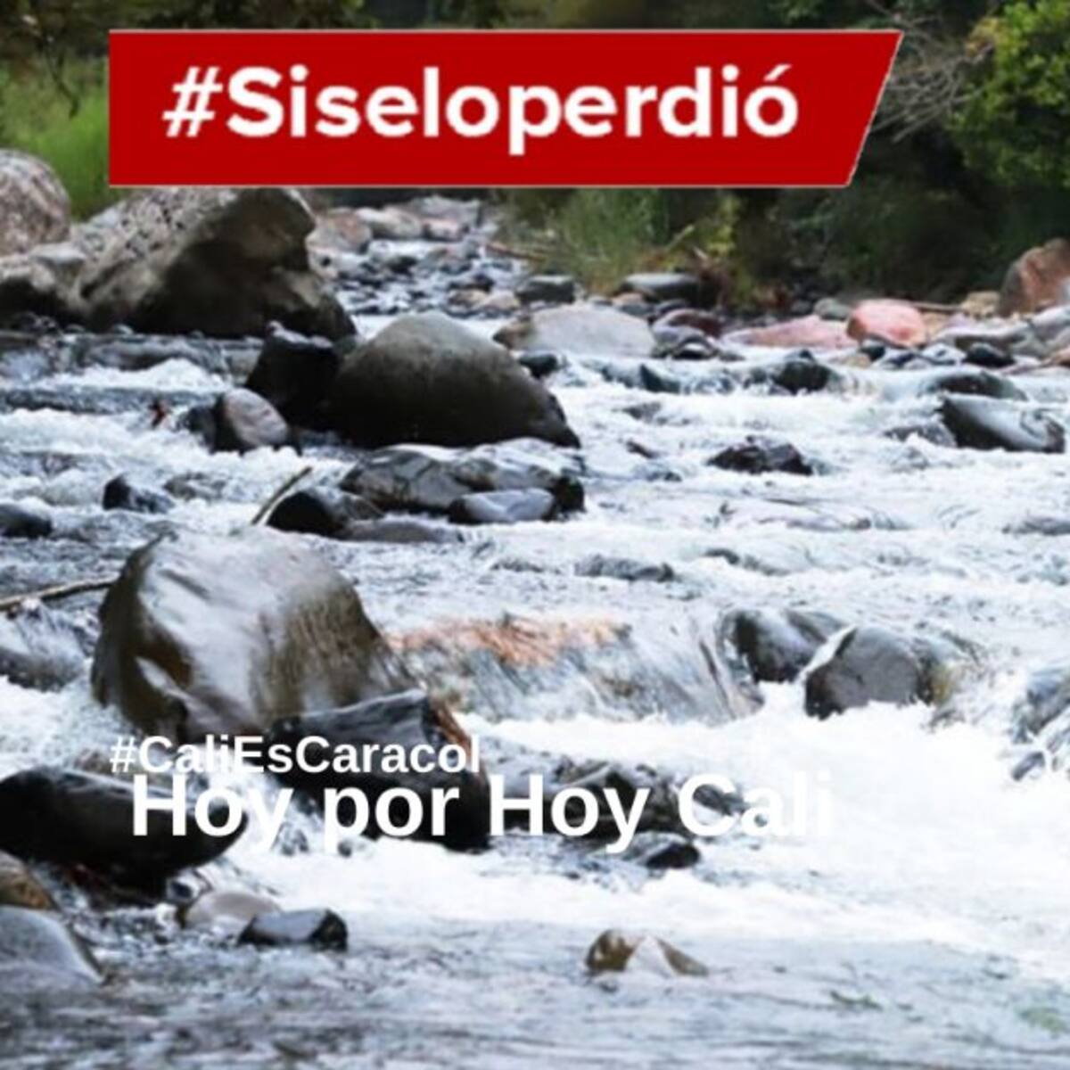 Cali Hoy por Hoy 28 de abril del 2020