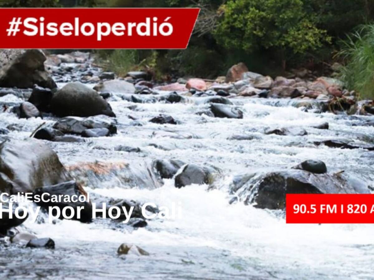 Cali Hoy por Hoy 28 de abril del 2020