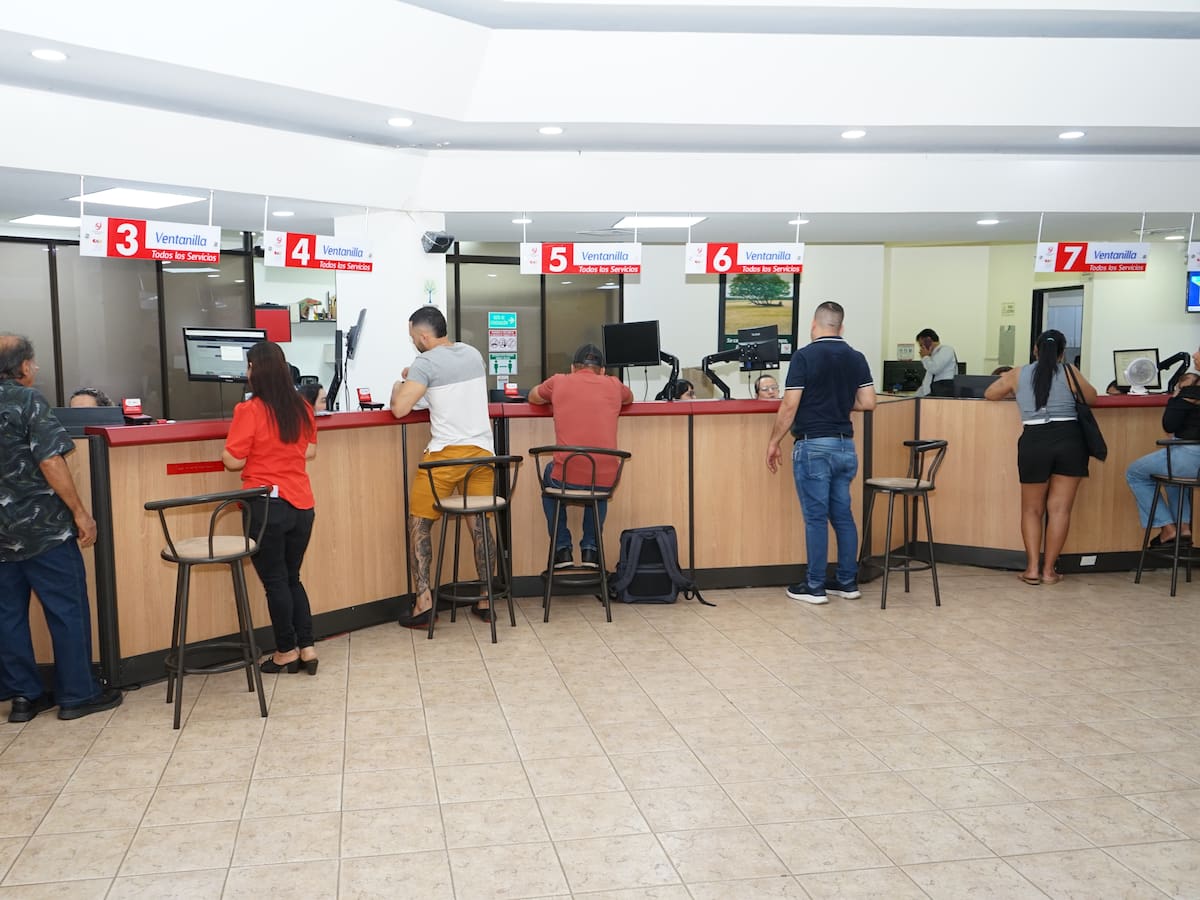 Renovación del registro mercantil avanza en el Huila con crecimiento de nuevos comerciantes