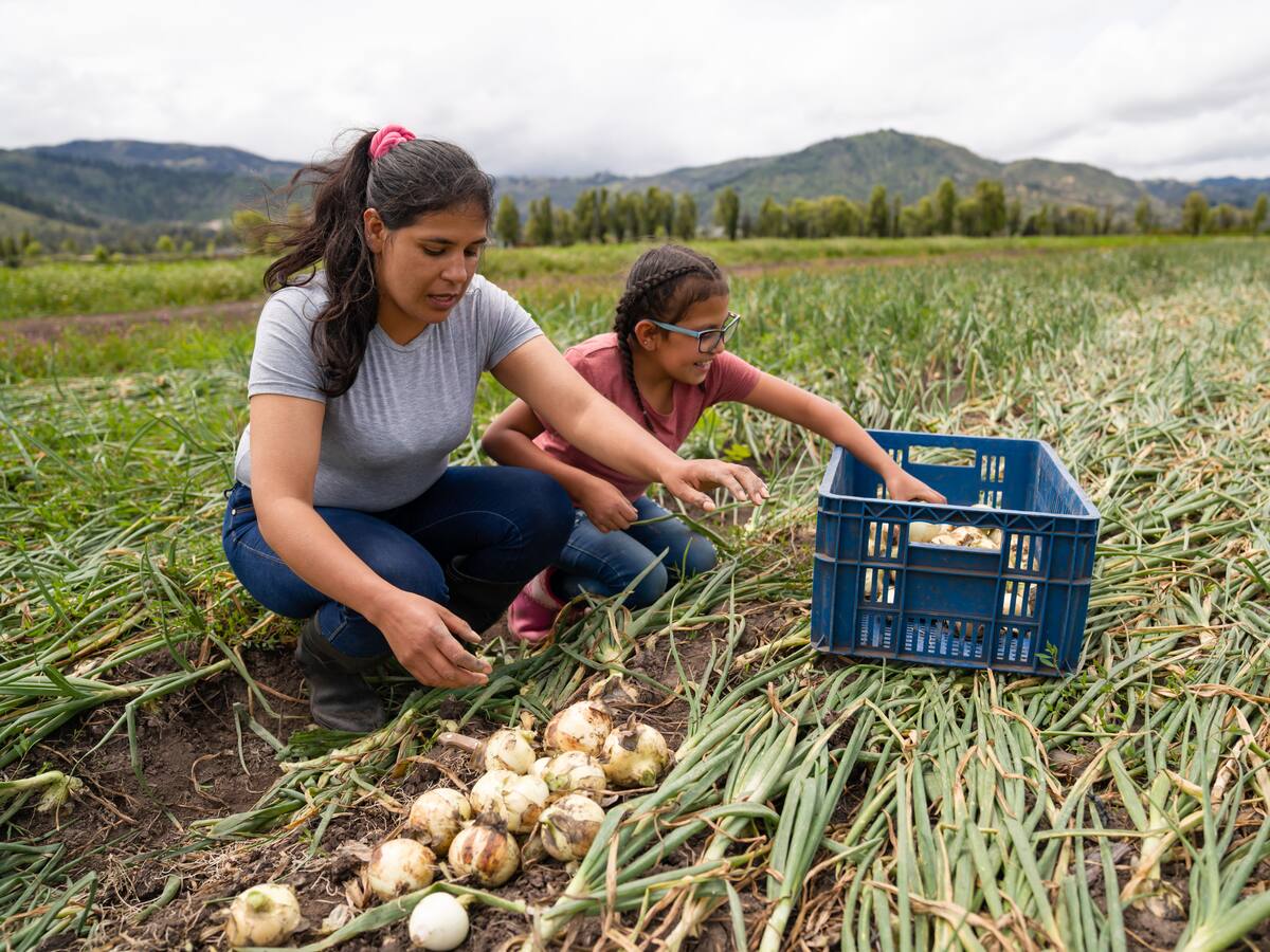 La agricultura como foco para contrarrestar la crisis climática