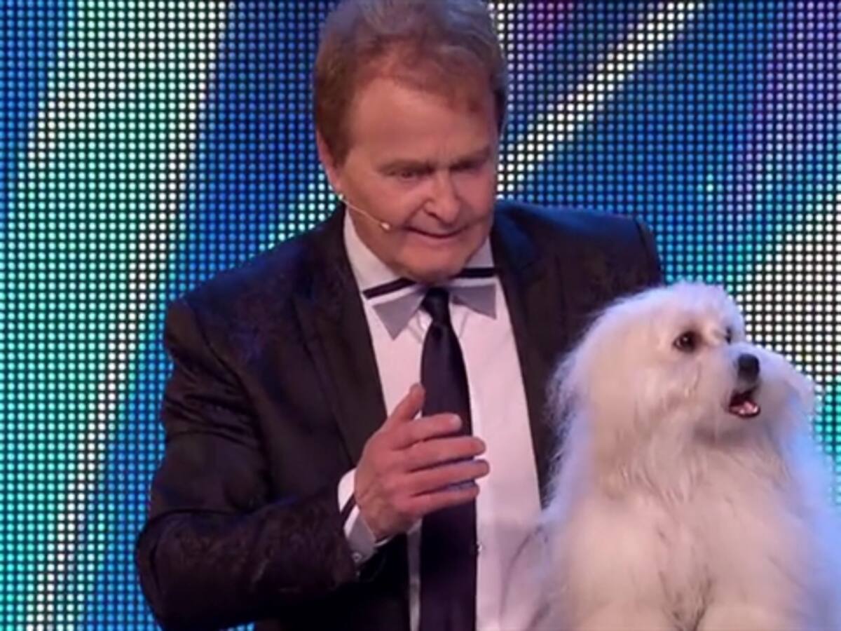 Perro que "habla" en concurso Britain's Got Talent es viral en YouTube