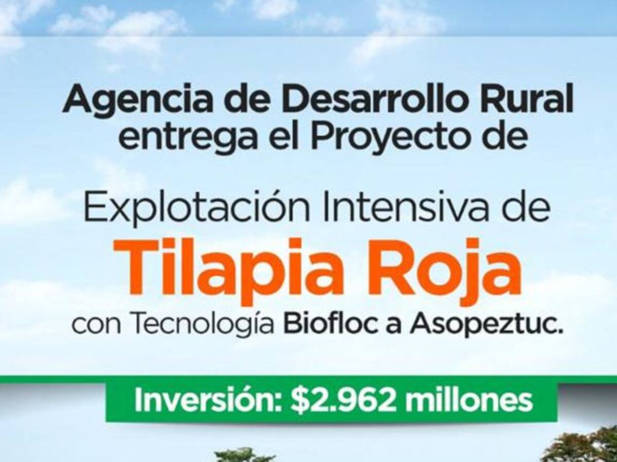 Producción de Tilapia roja en el Magdalena beneficiará a 219 familias