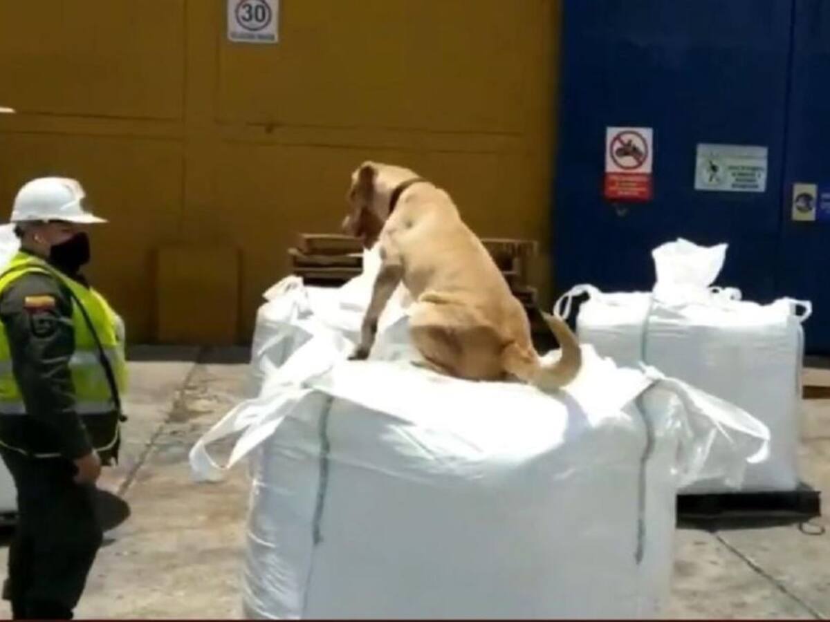 Incautan tonelada y media de cocaína en zona portuaria de Barranquilla