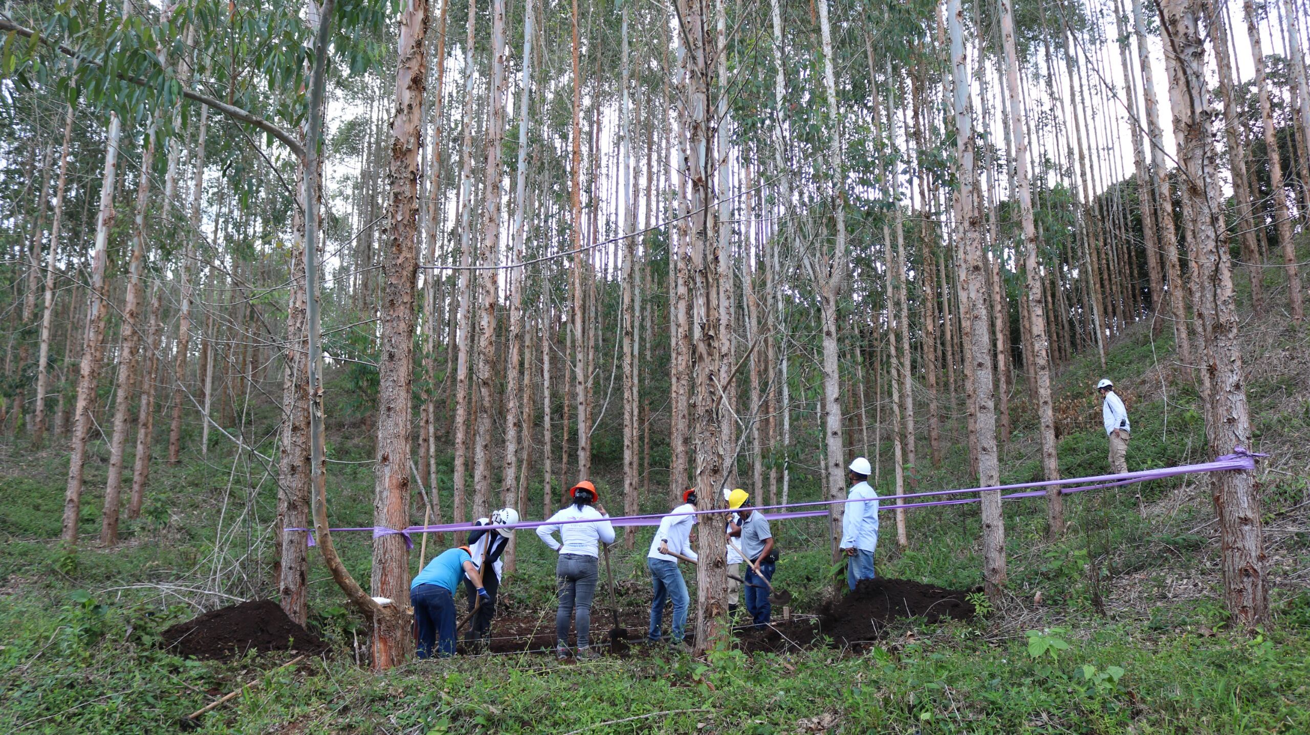 La Unidad de Búsqueda continúa realizando accioneshumanitarias y no judiciales en distintos municipios del Valle del Cauca.