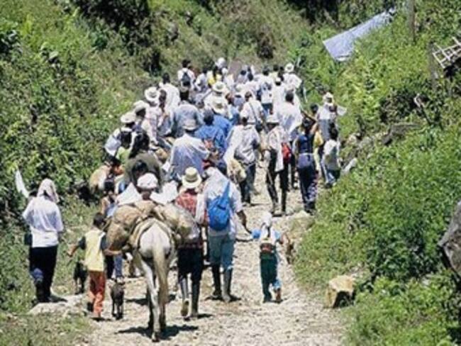 CICR monitorea diez municipios del Cauca que se encuentran bajo enfrentamientos de guerrilla y Ejército