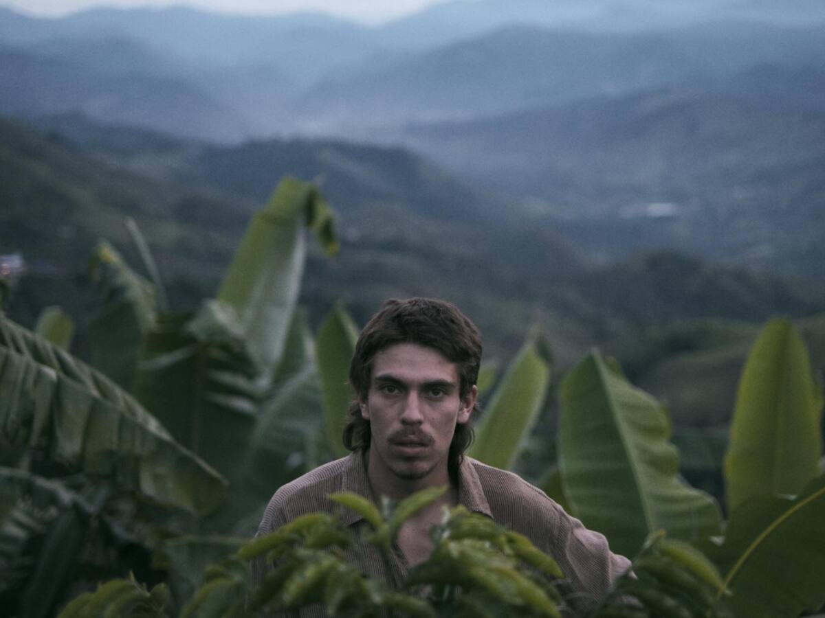 Película colombiana ‘La Roya’ llega a salas de cine del país