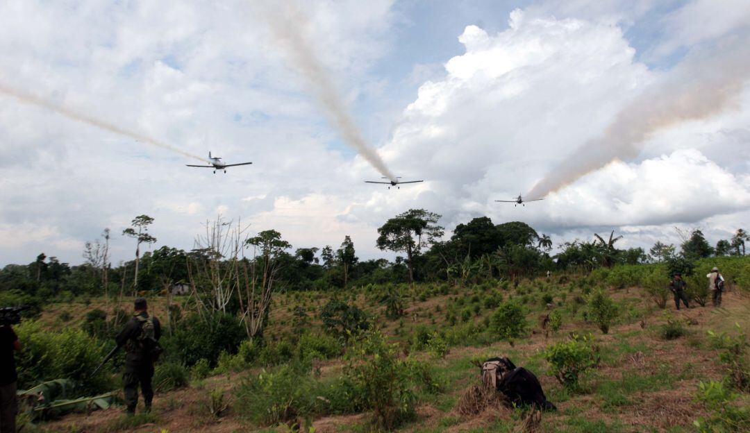 Expertos dicen que el espaldarazo de EE.UU. aceleraría el regreso de ese mecanismo para erradicar cultivos ilícitos.