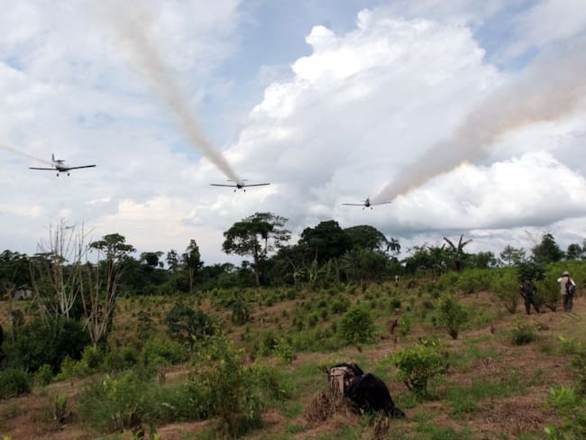 Expertos dicen que el espaldarazo de EE.UU. aceleraría el regreso de ese mecanismo para erradicar cultivos ilícitos.