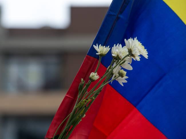 ¿Qué procesos se afectarían si se llega a caer la Ley de Paz Total?