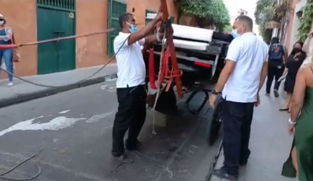 La solicitud de rectificación fue presentada por el conductor del coche turístico afectado por el desplome de un caballo