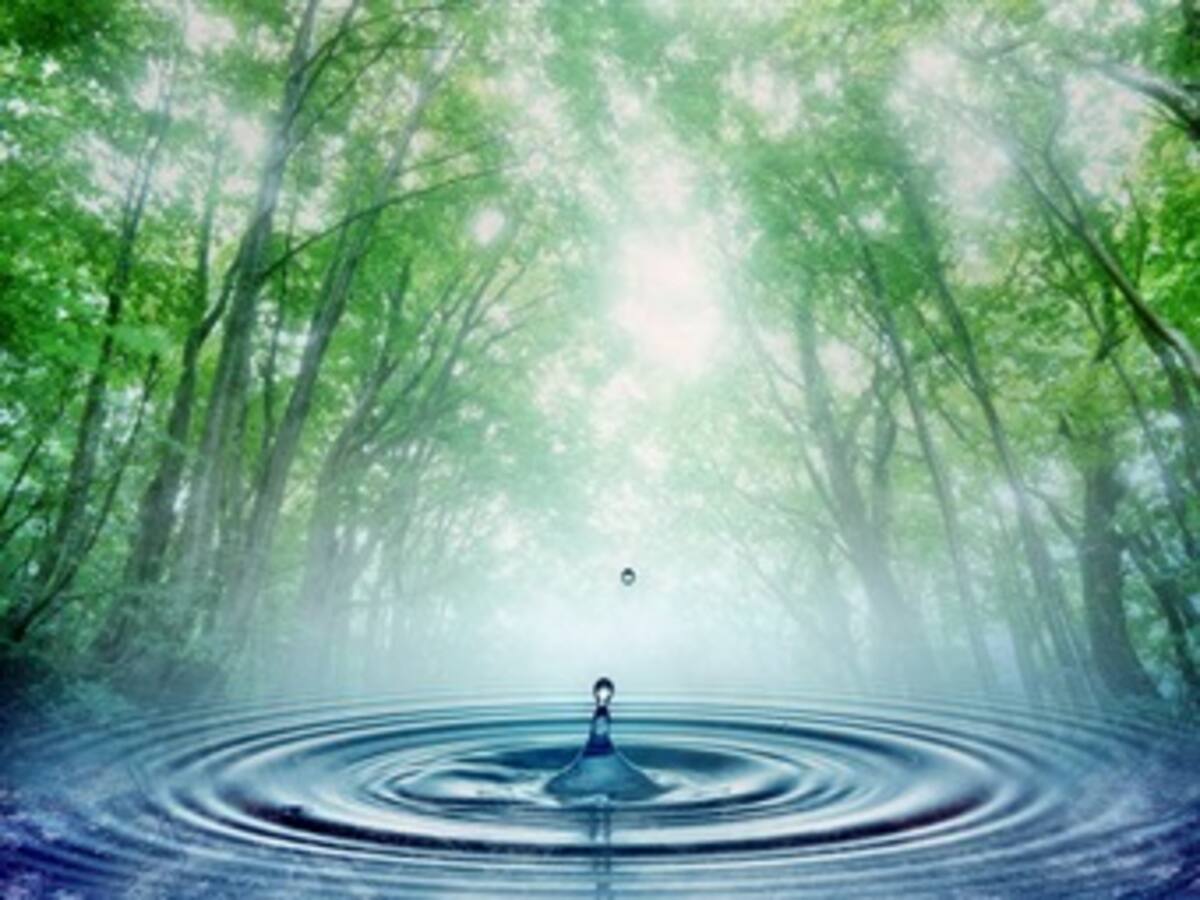 Premios para jóvenes protectores del agua