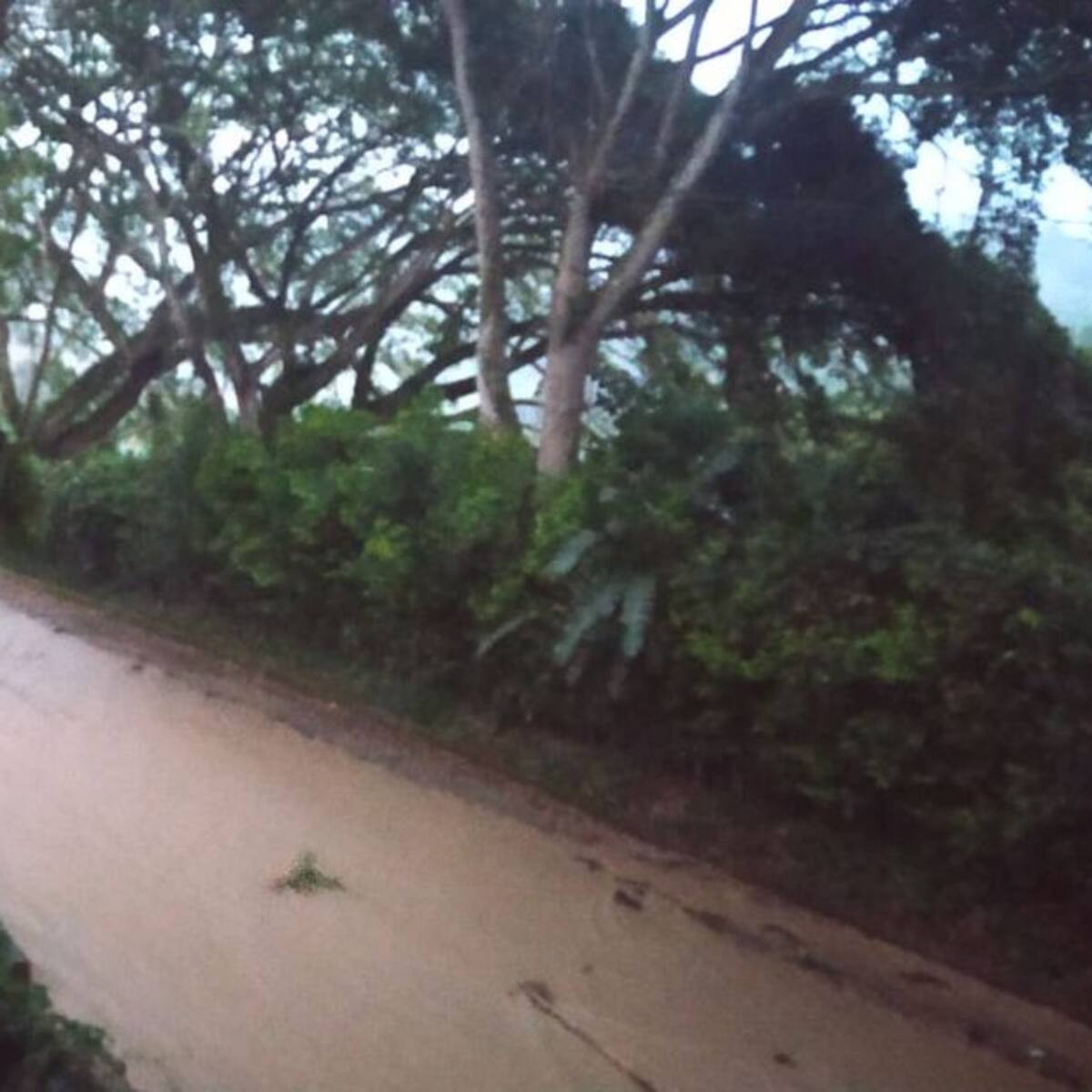 Alerta naranja en el Quindío por las lluvias