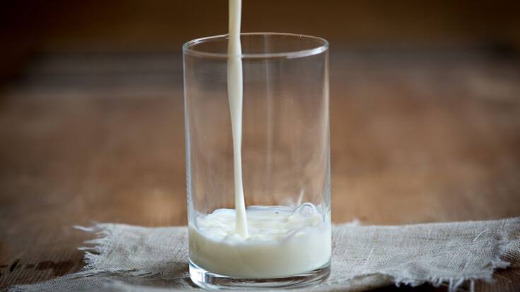 Fedegán: “42 mil toneladas de productos lácteos se han importado"