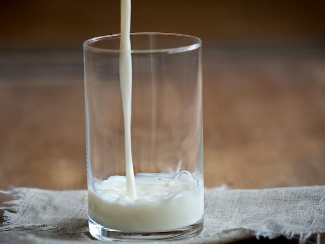Fedegán: “42 mil toneladas de productos lácteos se han importado&quot;