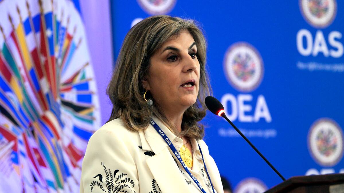 Laura Gil: Democracia en Colombia se construye antes y después de las elecciones; OEA estará presente